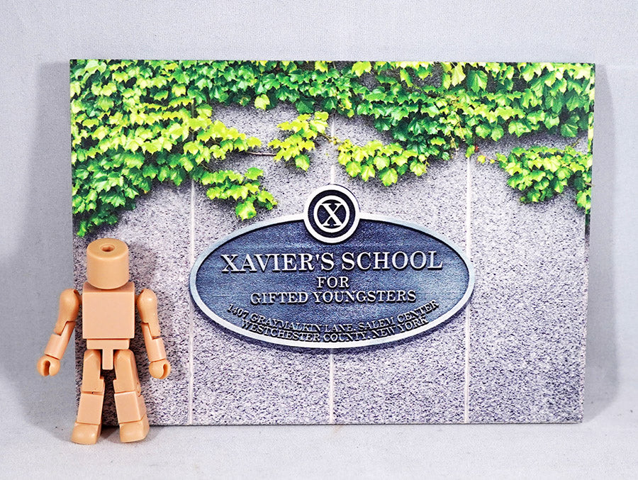 Last One: Xavier's School Small Backdrop