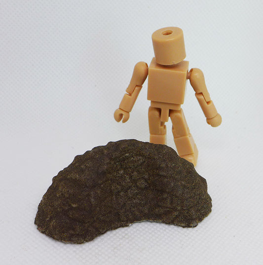 Last One: Ground Impact Base