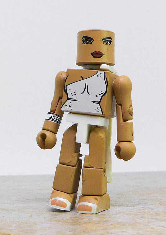 Formal Wear Sand Saref Partial Loose Minimate (The Spirit Exclusive Two Packs)
